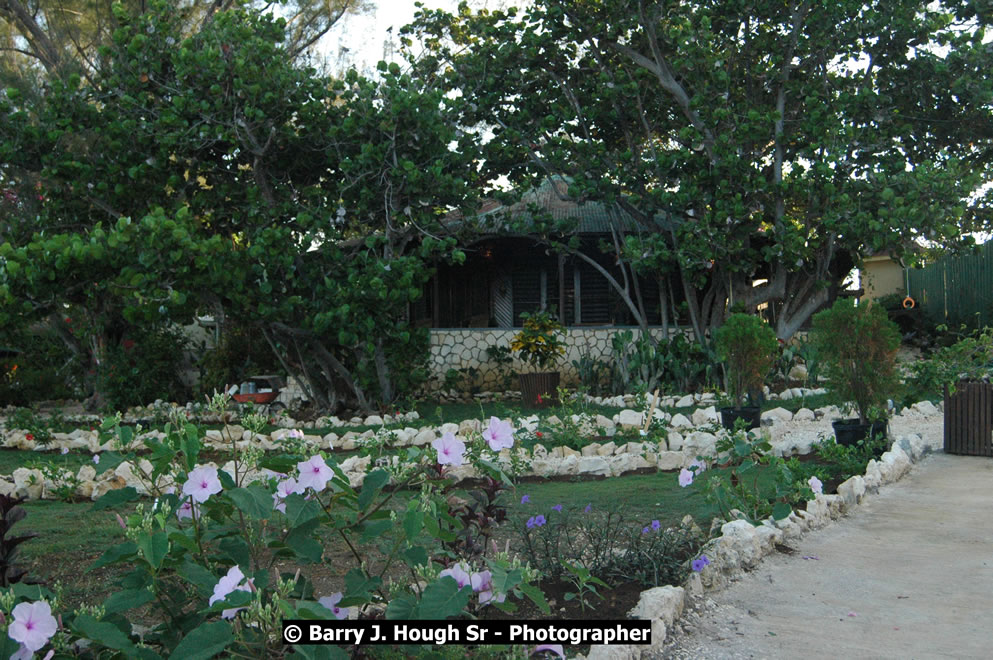 Catcha Fallen Star Resort Rises from the Destruction of Hurricane Ivan, West End, Negril, Westmoreland, Jamaica W.I. - Photographs by Net2Market.com - Barry J. Hough Sr. Photojournalist/Photograper - Photographs taken with a Nikon D70, D100, or D300 -  Negril Travel Guide, Negril Jamaica WI - http://www.negriltravelguide.com - info@negriltravelguide.com...!