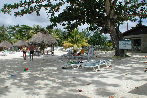 A Photo Walk along Negril's Famous Seven Mile Beach - Negril Travel Guide, Negril Jamaica WI - http://www.negriltravelguide.com - info@negriltravelguide.com...!