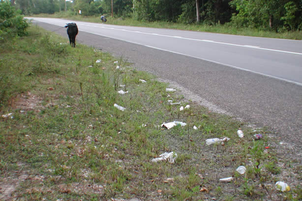 Volunteers Clean-Up Roadside Entrance to Negril - Negril Travel Guide